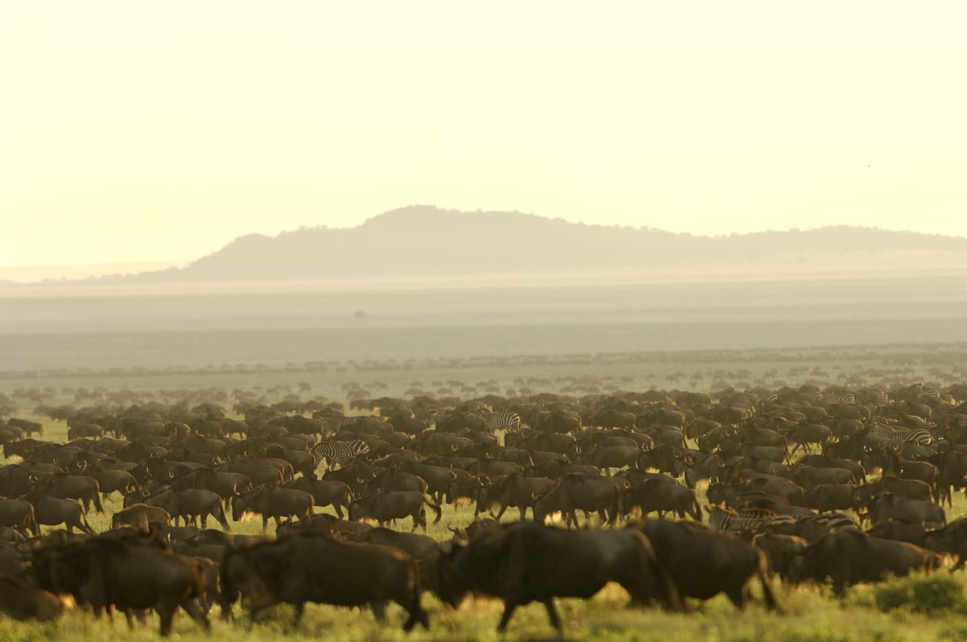 Across the plains