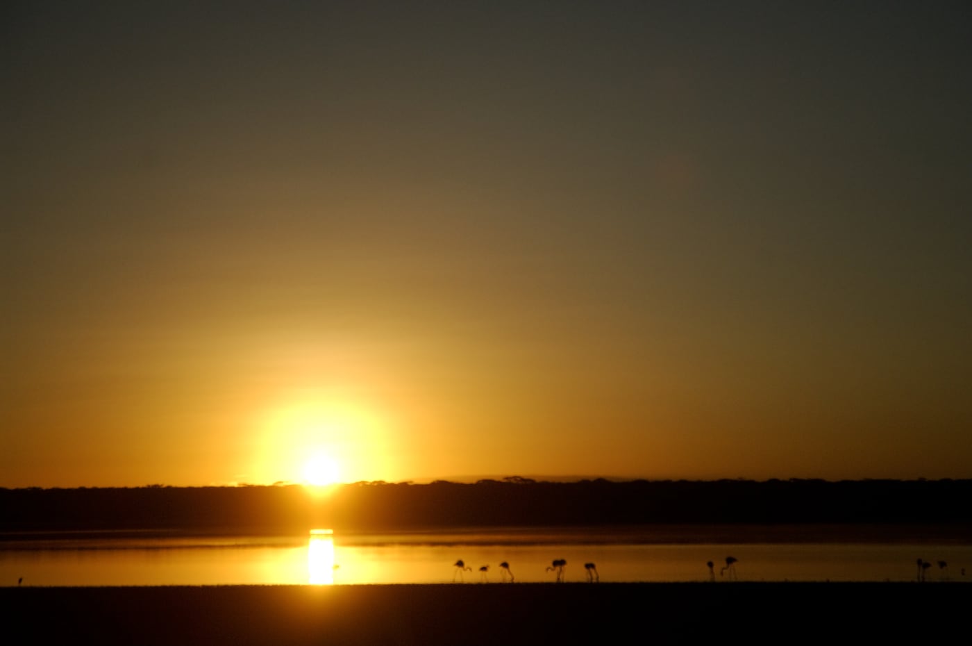 Sunset over the water