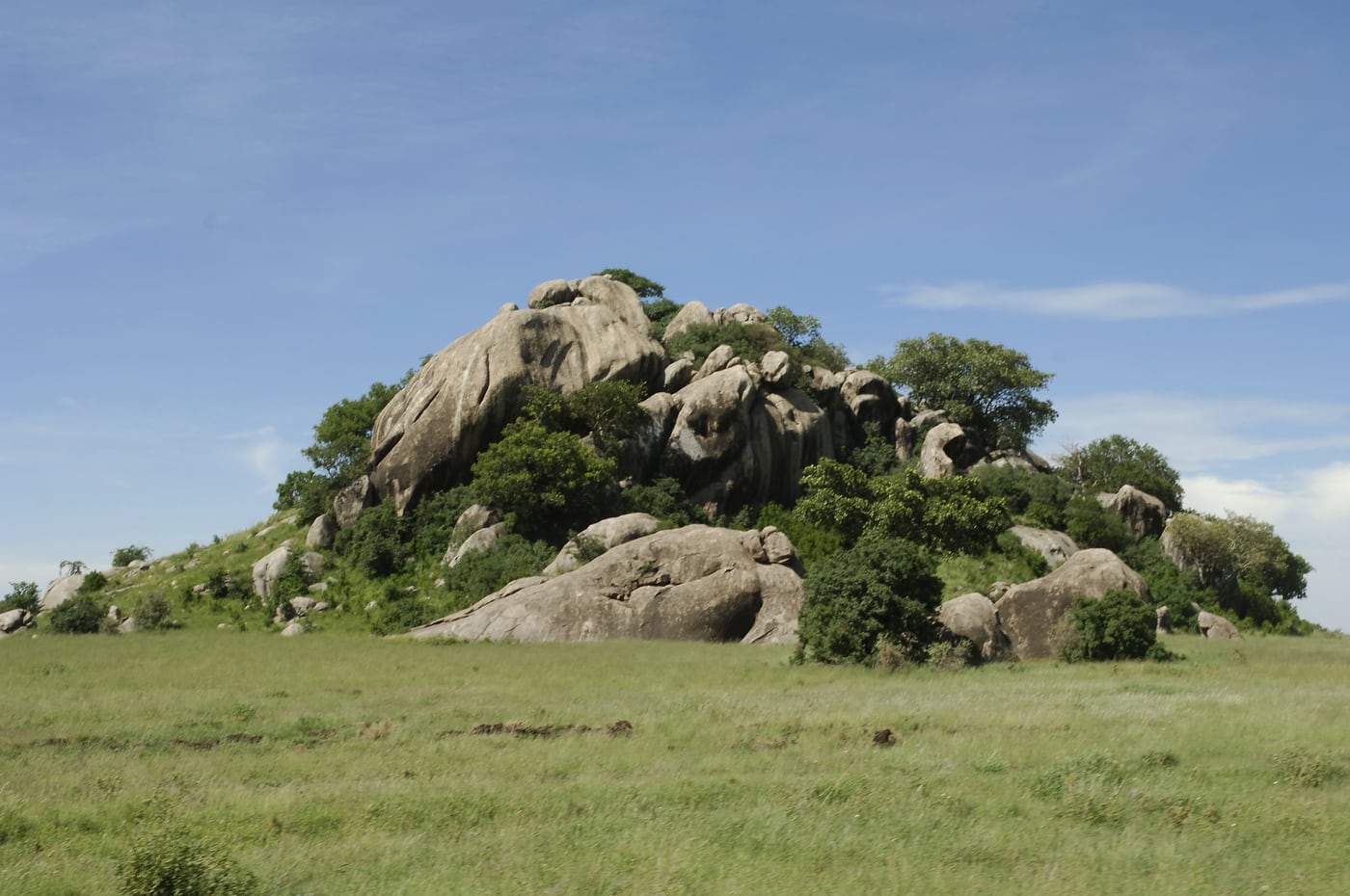 Rocky outcrop